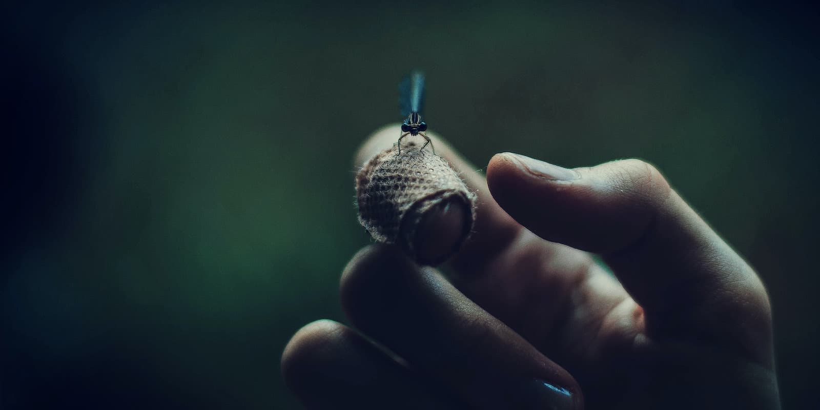 A closeup photograph of a hand with a mosquito sitting on a finger, against a dark green background.