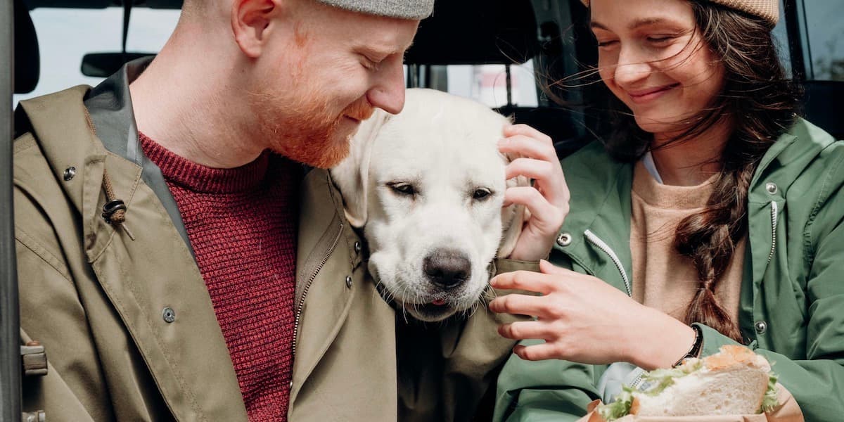 Una joven pareja blanca vestida de otoño está sentada en la parte trasera de un coche, almorzando y abrazando a su gran perro de laboratorio.