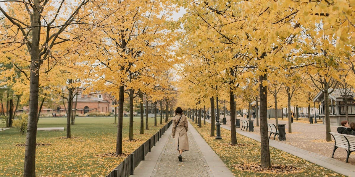 Vista de atrás de una mujer asiática con una gabardina color canela, caminando por una calle que atraviesa un parque flanqueado por árboles con hojas doradas.